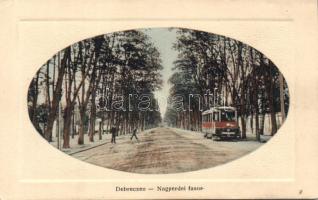 Debrecen Nagyerdei fasor villamossal Emb.