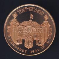 1993. "Horthy Miklós - Kenderes" Br emlékérem T:BU