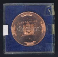 DN "Kossuth Lajos 1802-1894" Br emlékérem. Szign.Bozó T:BU