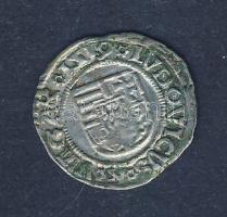 II. Lajos 1519. Dénár Ag (ÉH.673m) T:3