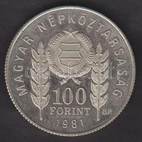 1981. 100Ft "1300 éves Bulgária" T:exPP