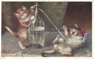 Soda cats s: Josef Heimerl (EB)