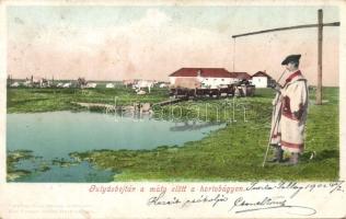 Hortobágy Gulyásbojtár (EB)