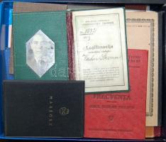 Vegyes igazolványtétel, benne román munkás igazolvány, MSZP tagsági könyv, csehszlovák takarékbetétkönyv, stb.