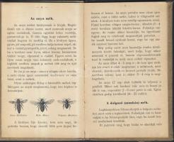 1899 Horváth János: Méhészkedjünk! könyv, illusztrációkkal, a mézkészítés leírásával, a méhek bemuta...
