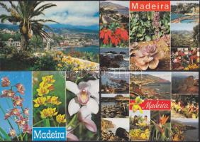 215 db modern színes képeslap Madeira szigetéről, közte 28 régebbivel, sok egzotikussal