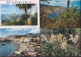 215 db modern színes képeslap Madeira szigetéről, közte 28 régebbivel, sok egzotikussal