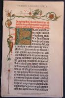 cca 1880 Növények 27 db acélmetszet és litho kép nagyrészt 25x30 cm (egy két hibás, de alapvetően jó...