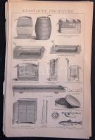 cca 1880 Növények 27 db acélmetszet és litho kép nagyrészt 25x30 cm (egy két hibás, de alapvetően jó...