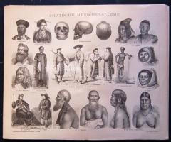 cca 1880 Embrek, anatómia 10 db acélmetszet  jó állapotban / People, anatomy 10 etchings. (Nagyrészt /mainly 25x30 cm)