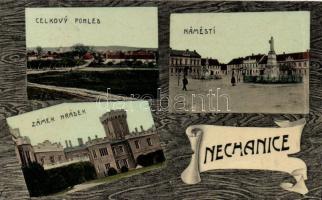 Nechanice with castle (EB)