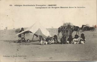 Mauritanie, Campement de Bergers Maures dans la brousse / Mauritania, Moorish shepherds camp in the bush