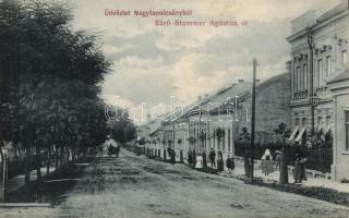 Nagytapolcsány Ágoston Stummer street