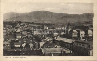 Bielsko-Biala with synagogue