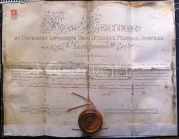 1906 Kolozsvári Egyetem jogi doktori oklevél "kutyabőrön" ép függőpecséttel / Law doctor`s certificate University of Cluj