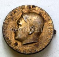 Németország "Ein Volk-Ein Reich-Ein Führer" köriratú német propaganda kitűző T:3