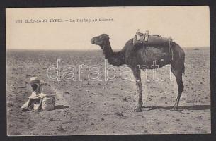 Arab folklór, ima a sivatagban, teve, Arabian folklore, prayer in the desert, camel