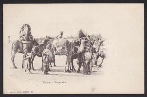 Arabian caravan, Biskra