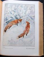 1936 Wild und Hund német vadászújság teljes évfolyama bekötve, szép állapotban / Full year of German...