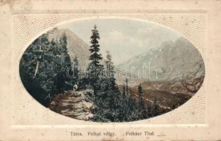 Tátra Felka valley Emb. (fl)