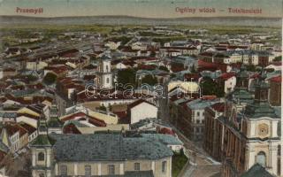 Przemysl with the New Synagogue (EB)