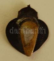 DN "Így volt így lesz" feliratú zománcozott Br kitűző gyártó: Jerouschek Bpest