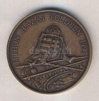 1993 "Horthy Miklós újratemetése" bronz emlékérem Szign.Bognár T:1-
