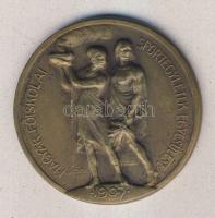 1925. "Magyar Főiskolai Sportegyletek Egyesülése-Bajnoki érem" Műlesiklás III. Br Szign.Sződy T:2