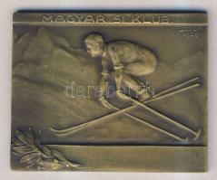 1929. Magyar Sí Klub szögletes Br plakett szign. Sződy T:2
