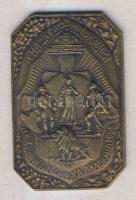 1933."M. Kir. Honvéd Ludovika Akadémia - F.K.SIU V." szögletes Br plakett T:2