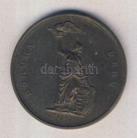 1935. "Borúra Derű-A Magyar Tudományos Akadémia Vitéz Moór Gyulának" Br emlékérem T:2