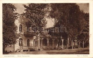 Druskieniki (Druskininkai) Hotel Europe (small tear)