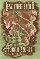 Grape harvest in Tokaj So.Stpl