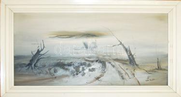 Tóth Rozália: Téli táj olaj-farost, jelzett, 51x91 cm