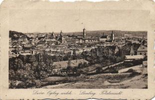 Lviv with the Beth Hoolim Jewish hospital (b)