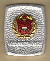 Modern kitüntetés Szocializmusért eredeti dobozban T:1