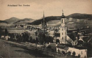 Mieroszów (Friedland) churches (EK)