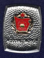 Modern kitüntetés "Szocializmusért..." eredeti díszdobozban T:1