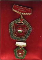 Modern kitüntetés Szoc. Brigád eredeti feltűzőn T:1