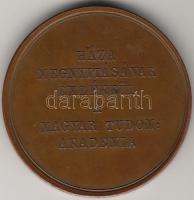 1865 "Magyar Tudományos Akadémia..." bronzplakett sign.:Radnitzky T:1/2