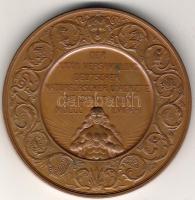 Ausztria 1856 "...Naturforscher u.Aertze..." sign.:Radnitzky T:1/2