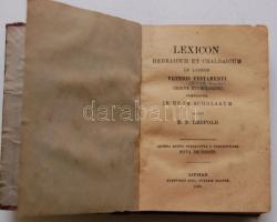 1920 Héber-Latin szótár / Hebrew-Latin dictionary