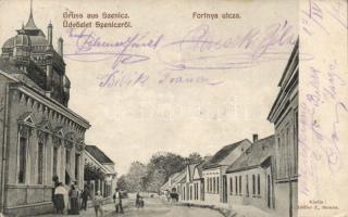 Szenice synagogue (EB)