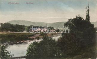 Zólyombrézó Károly plant