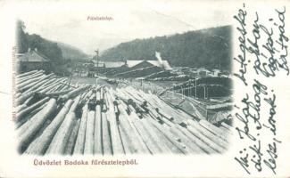 Bodoka sawmill (fa)