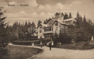 Borszék villa