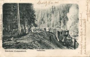 Komandó forest timber locomotive