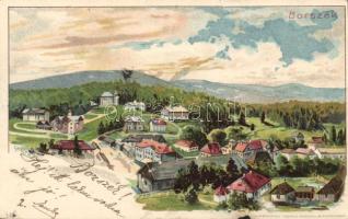 Borszék litho s: Geiger (b)