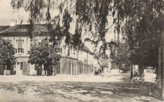 Szászsebes Sikulorum street with savings bank