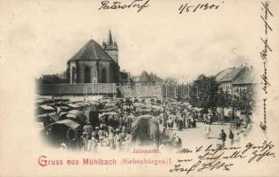 Szászsebes annual fair